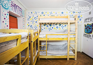 Hotelier's photos Kotiki