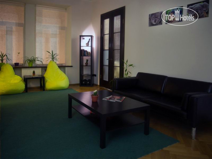 Новые добавленные фото туристов Koala Hostel 