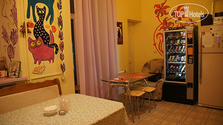 New photos from tourists Kind Cat Hostel