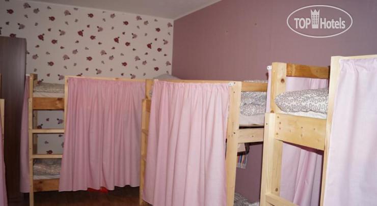 New photos from tourists Flower Yard Hostel