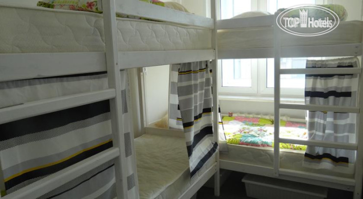 New photos from tourists Goldfish Hostel