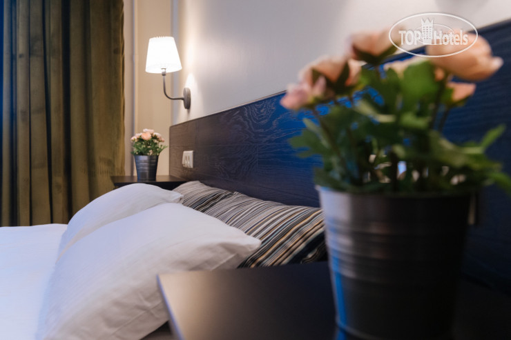 New photos from tourists Apple Dream Hotel