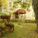 Photos Лось