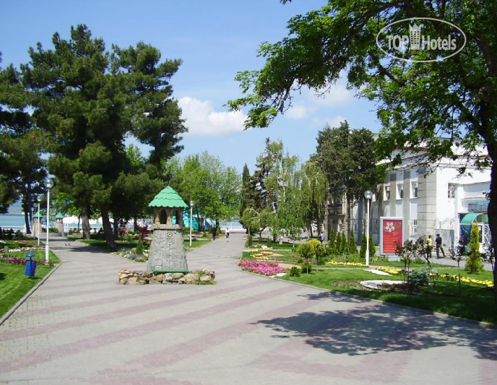 Hotel photo Ольга (закрыт) 