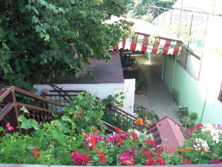 New photos from tourists Альянс 2*