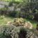 Photos Барса