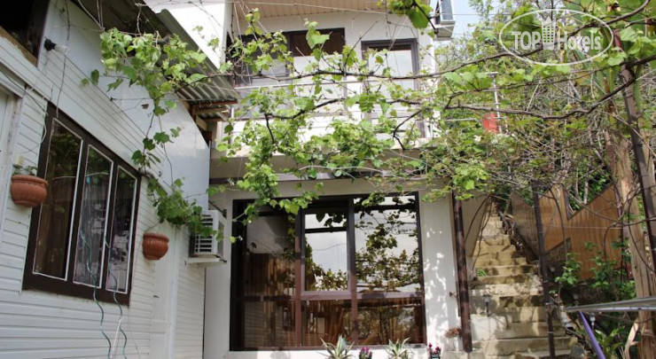 Фото Ариал
