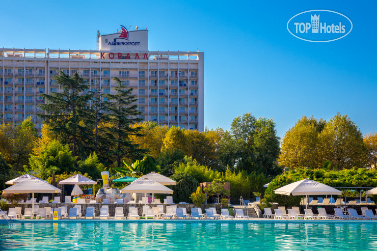 New photos from tourists Адлеркурорт