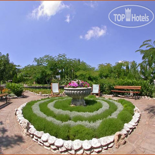 Фото Афалина