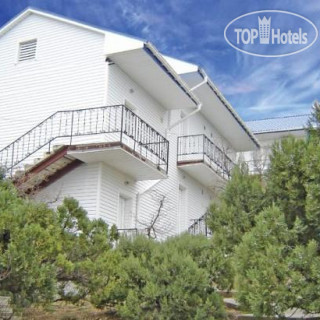 Photos Дельфин