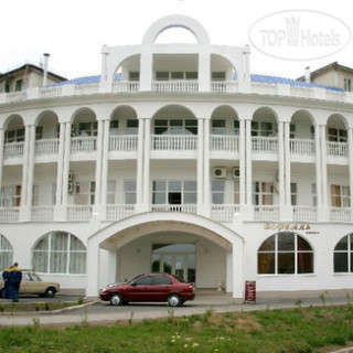 Фото Дельфин