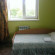 Photos Дикая Роза