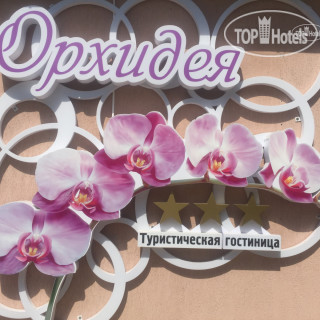 Photos Орхидея