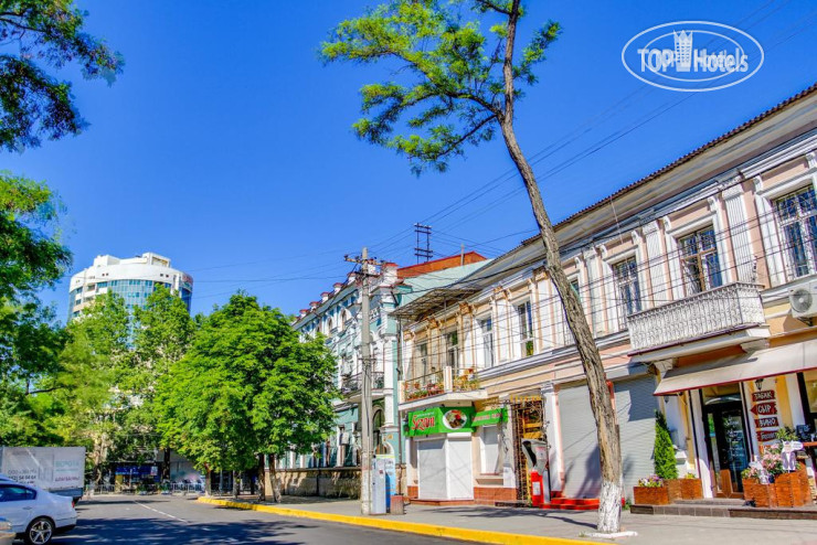 Photos Элита