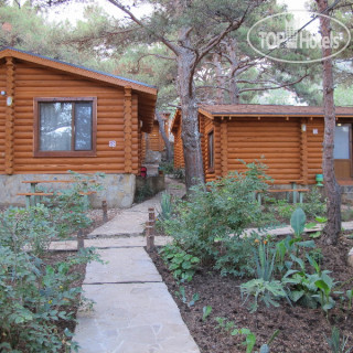 Photos Лукоморье