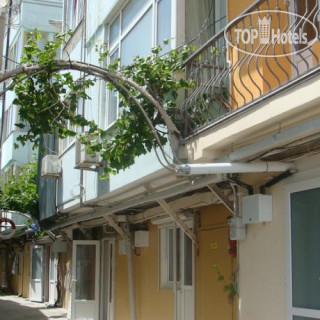 Фото Кокос Эллинг