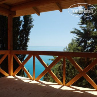 Photos Береговой