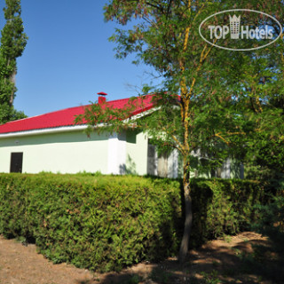 Фото Рябинка