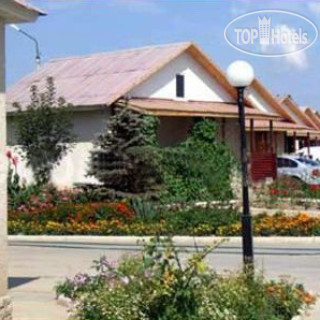 Фото Дельфин