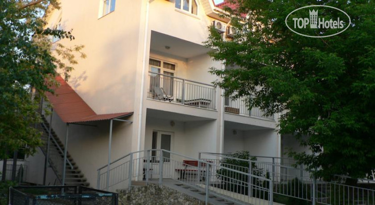 Photos Пчела