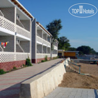 Фото Коралл