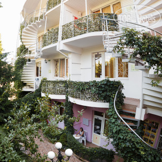 Photos Летучая Мышь