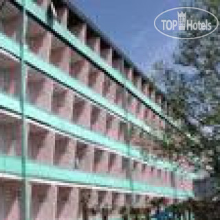 Photos Сосновый