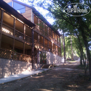 Photos Green Wood Hotel