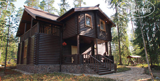 Photos Шишки на Лампушке