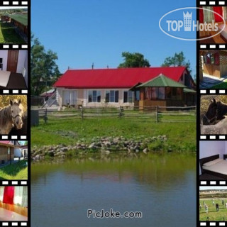 Фото Сойкино