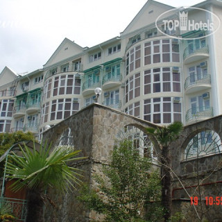 Фото Золотая Пальма