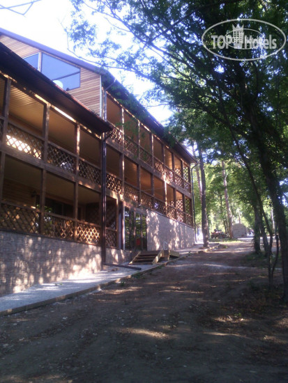 Hotel photo Green Wood Hotel 