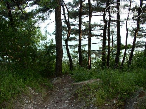 New photos from tourists Ольгинка Пансионат (закрыт)