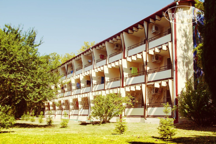 Фото Солнечный