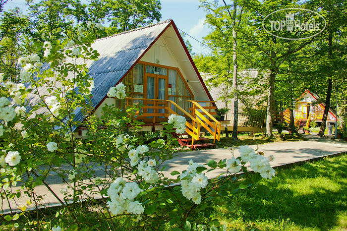 Hotel photo ДОЛ Дозорный (ВДЦ Орлёнок) 
