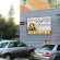 Photos Подсолнух