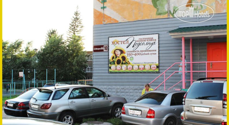 Photos Подсолнух