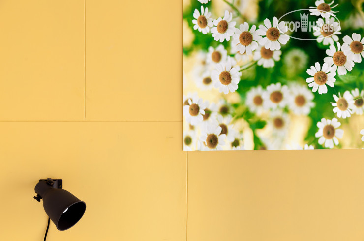 New photos from tourists Live Hotel 3*