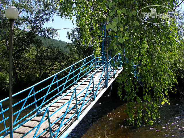 Hotel photo Голубые Ели 