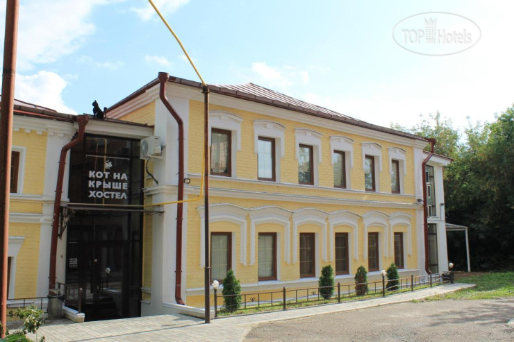 New photos from tourists Кот на крыше