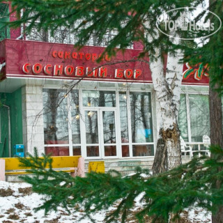 Фото Сосновый бор