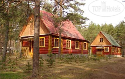 Photos Чайка