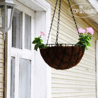 Photos Белый парус