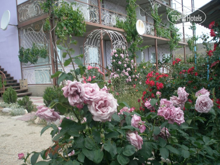 New photos from tourists Терем*ОК