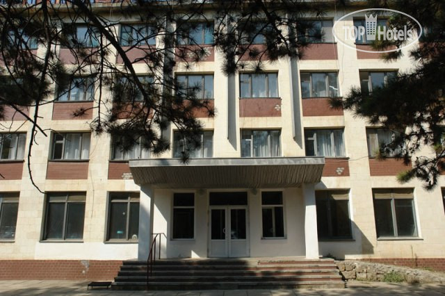 Photos Чайка