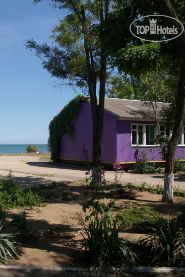 Photos Залив