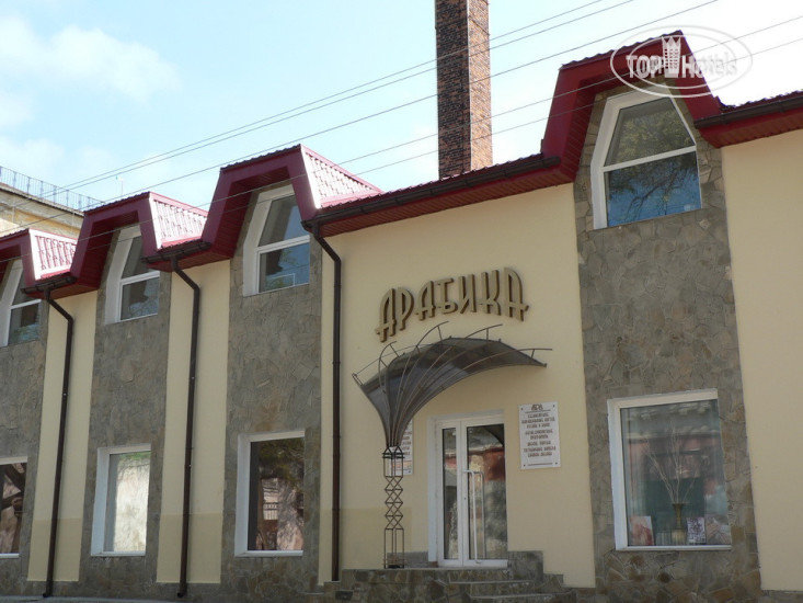 Photos Арабика