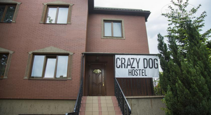 Фото Crazy Dog Hostel