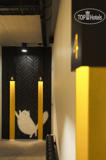 Hotelier's photos Hostel Suffix