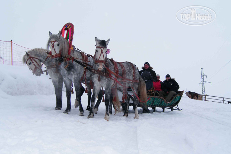 Новые добавленные фото туристов Центросоюз РФ